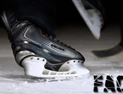 Saisonbilanz 2007/2008